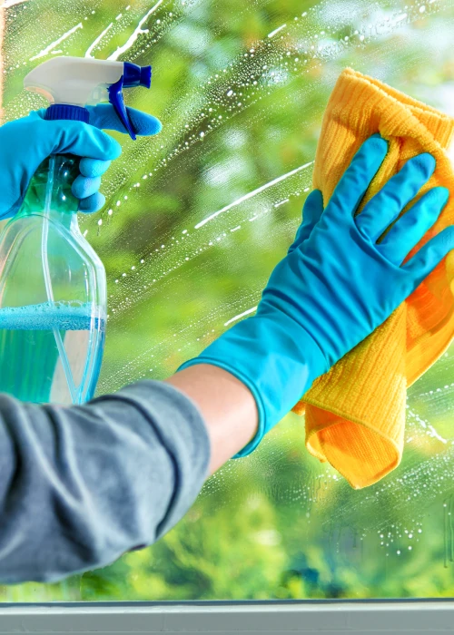Cleaning Services